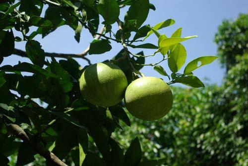 1576629405365016.jpg u=3845802583,4230893715&fm=26&gp=0.jpg