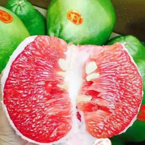 1576629690130977.jpg u=868171866,2725060159&fm=26&gp=0.jpg